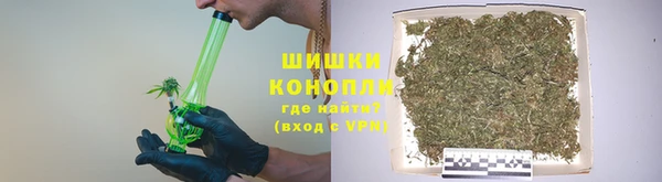 шишки Балахна