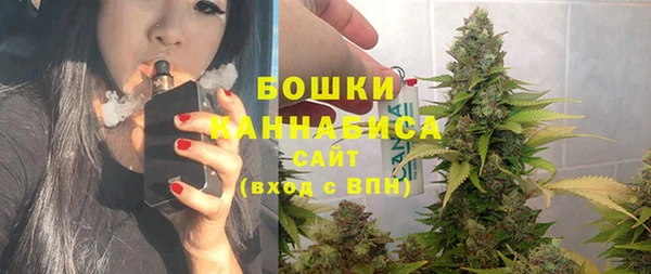 шишки Балахна