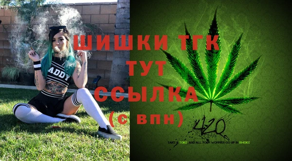 гидропоника Алексеевка